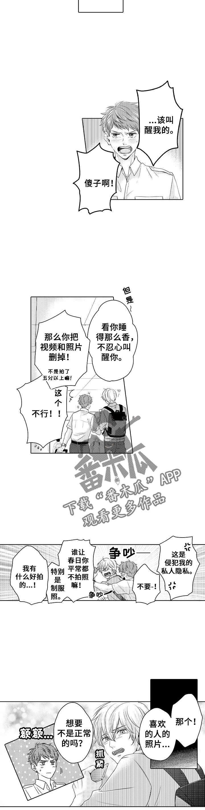 第21章：照片