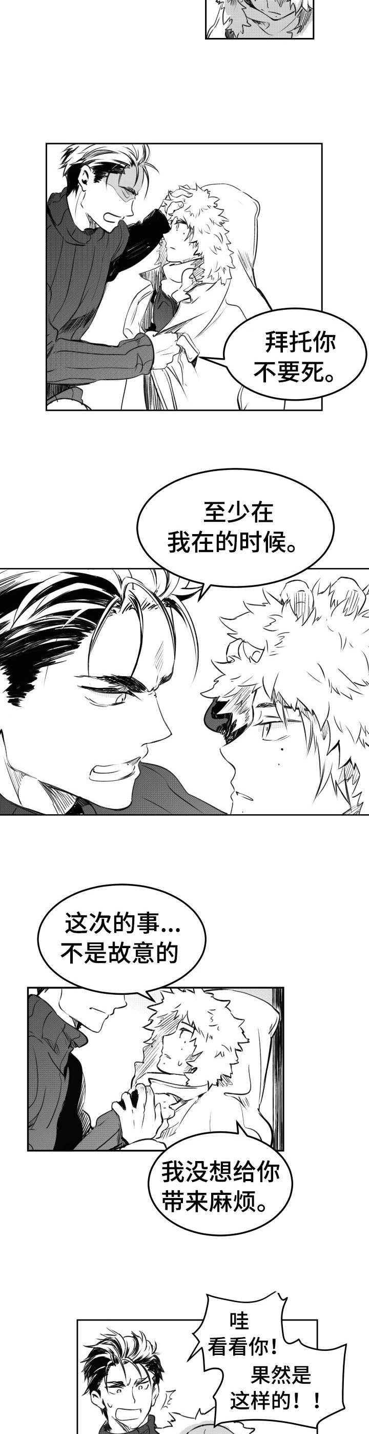 第14章：解释