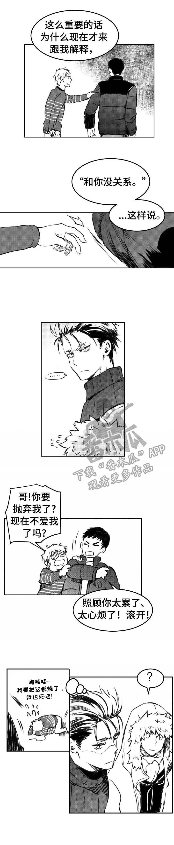第14章：解释
