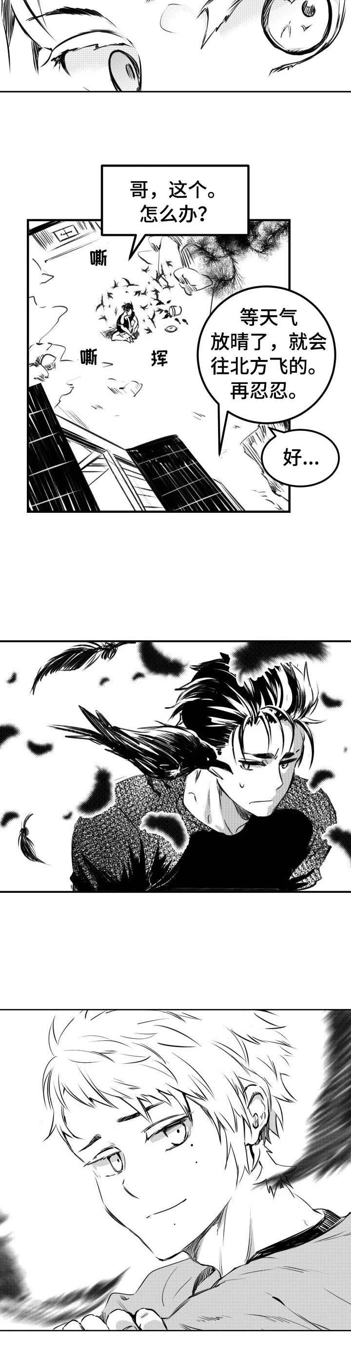 第40章：乌鸦群