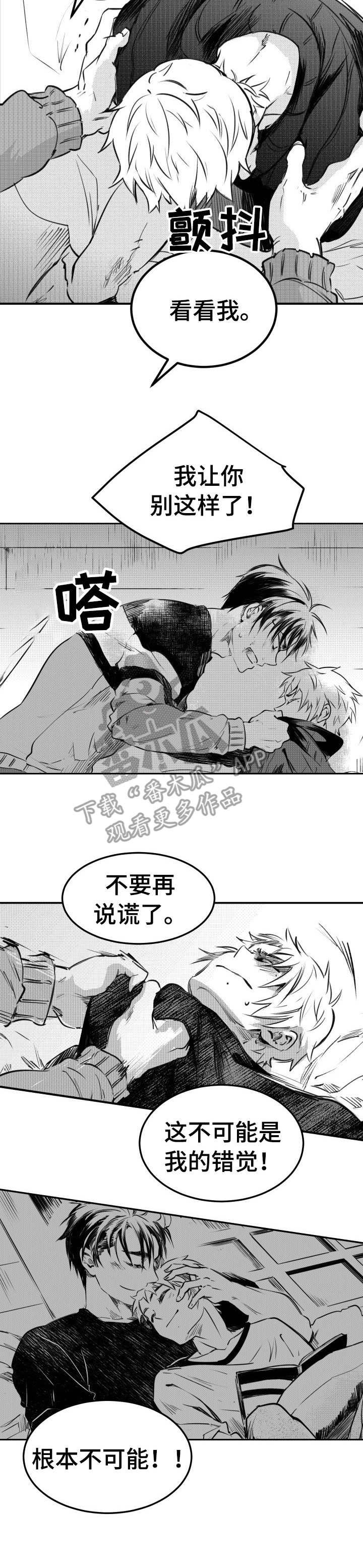 第47章：只是错觉