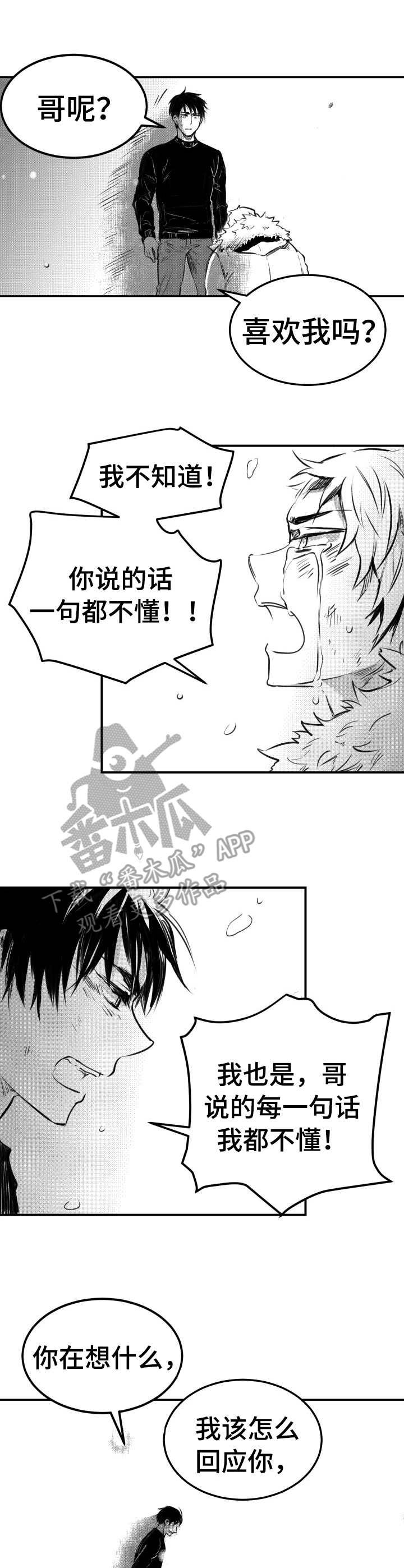 第53章：回应（完结）