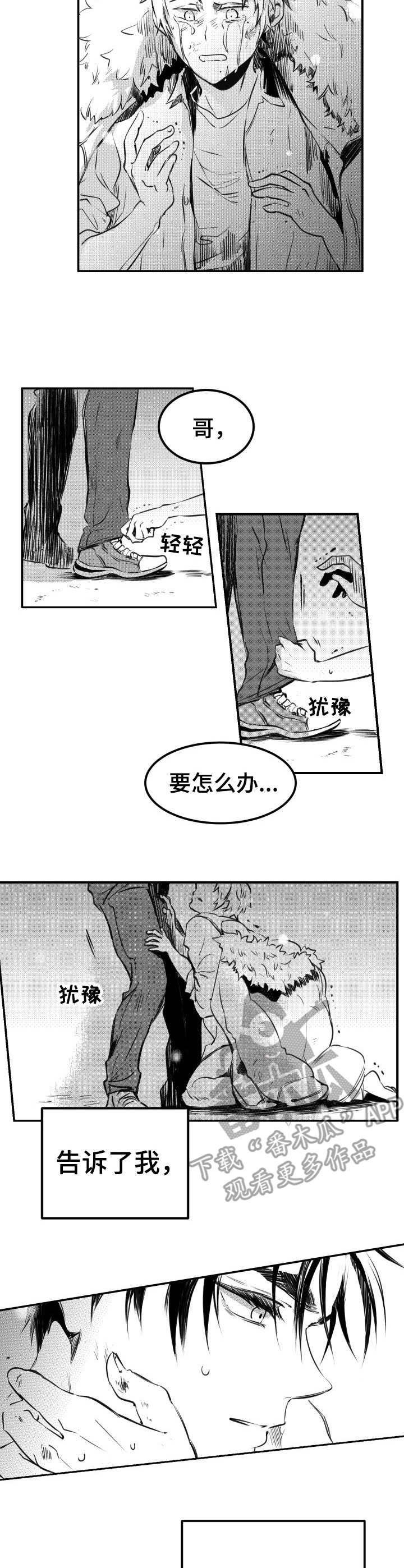 第53章：回应（完结）