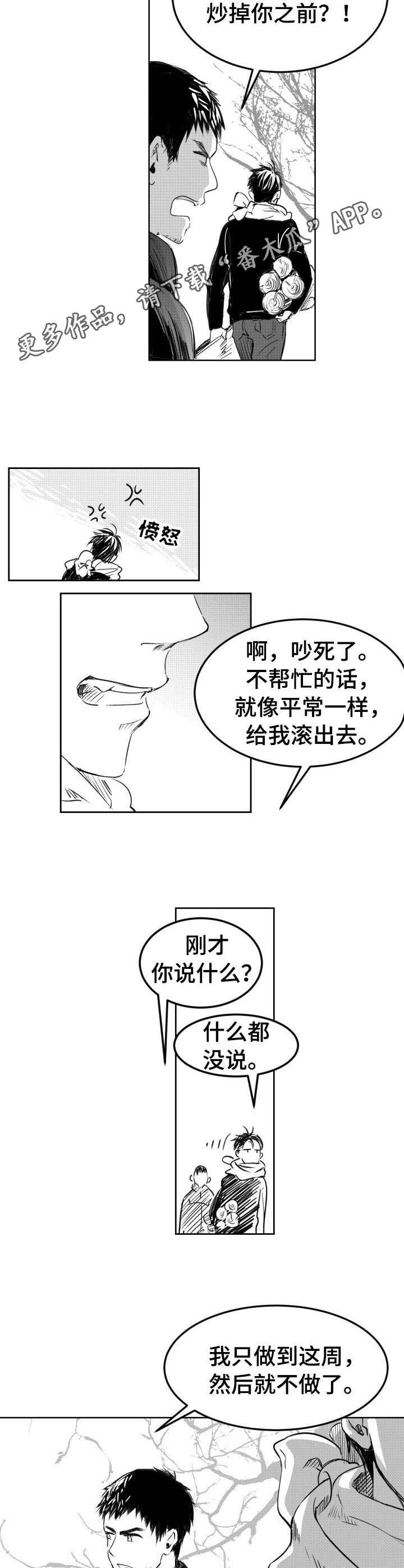 第8章：积雪