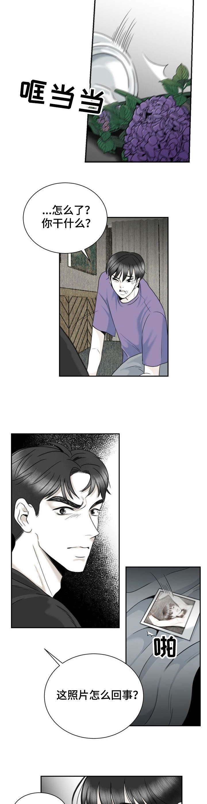 第31章：照片