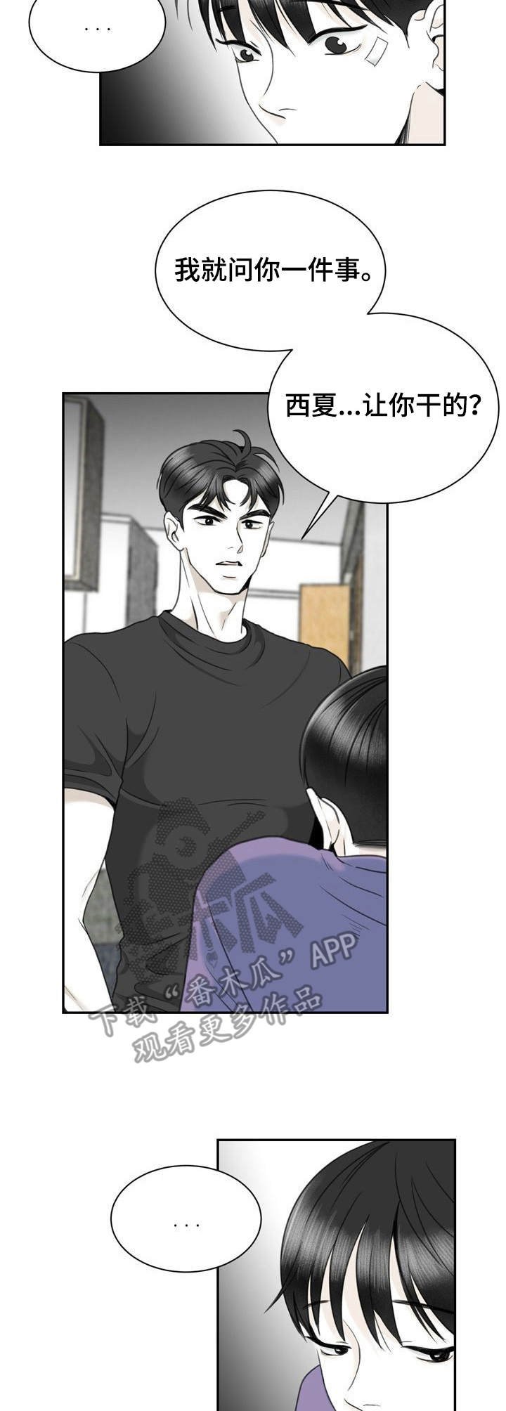 第31章：照片