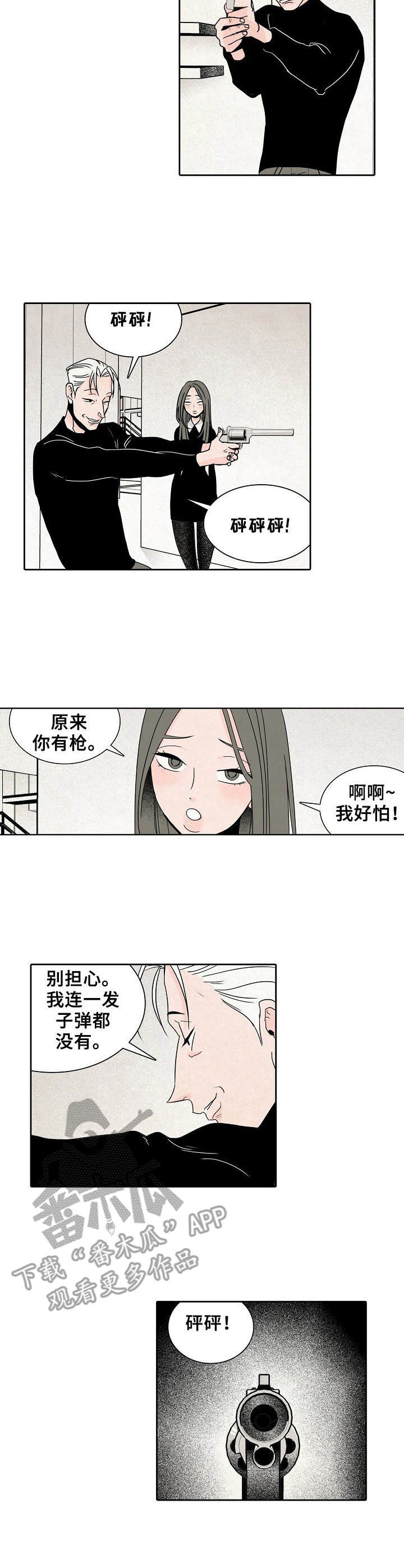 第22章：手枪