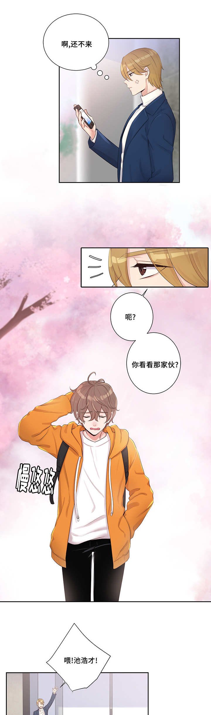 第3章：理想型