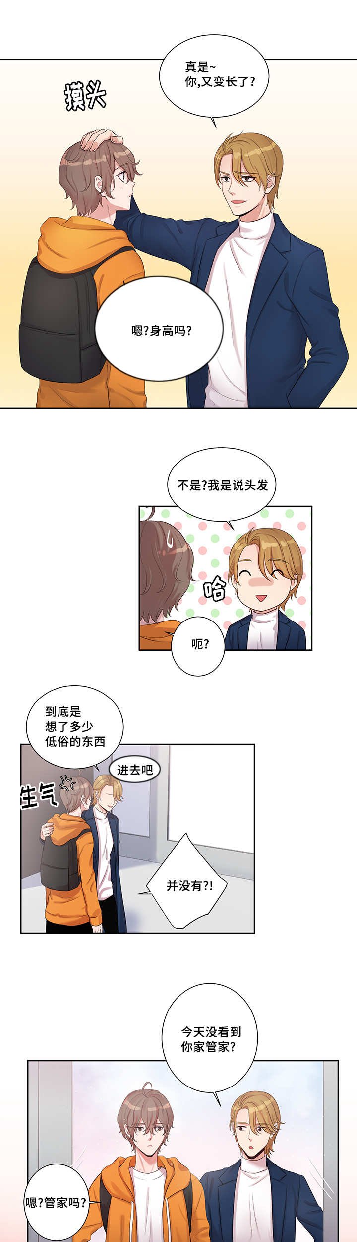 第3章：理想型