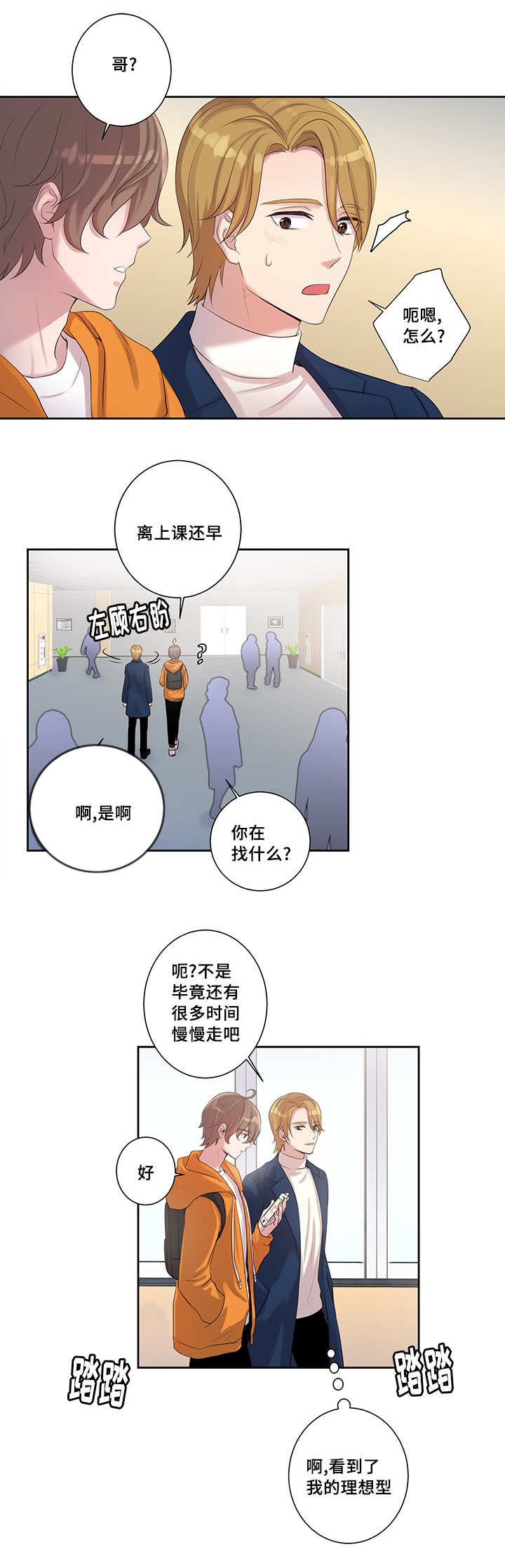 第3章：理想型