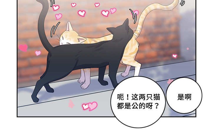第34章：普通朋友
