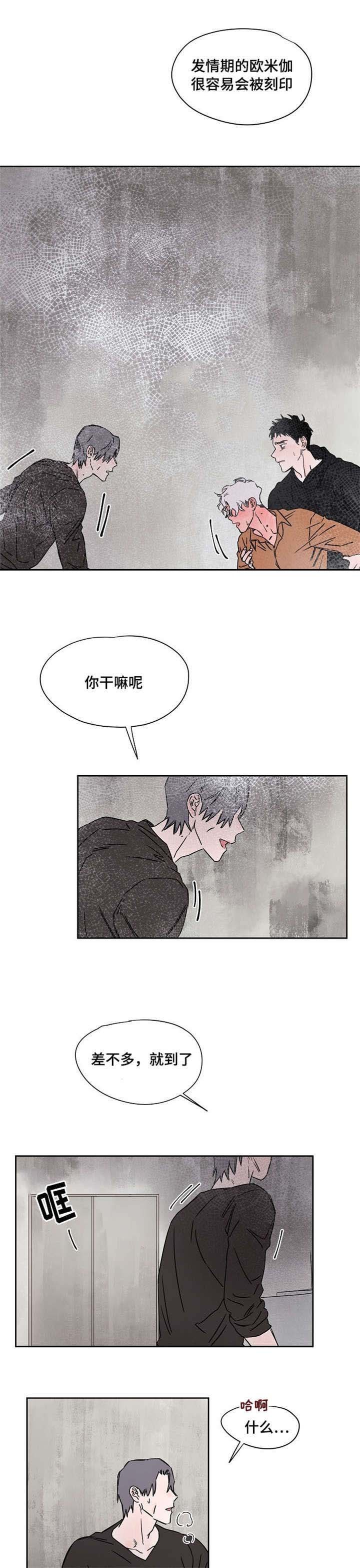 第51章：警察