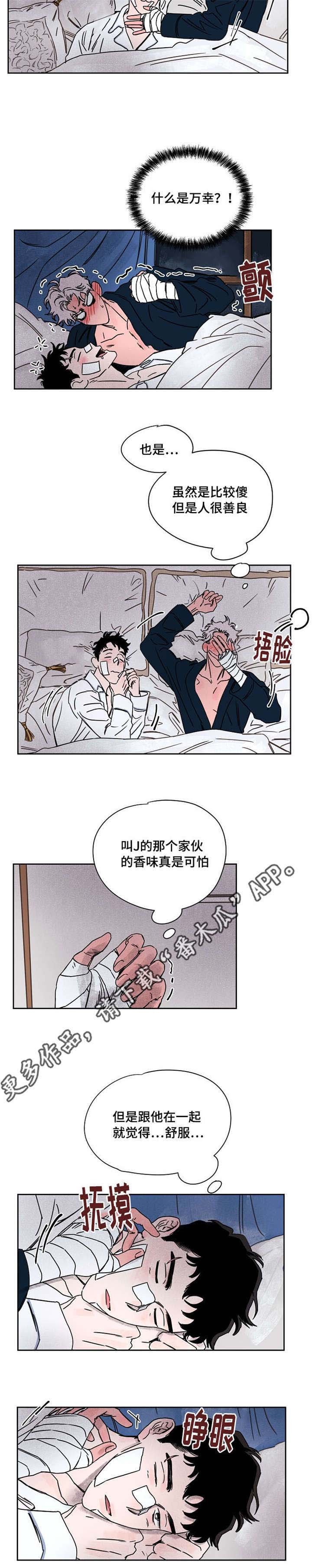 第53章：万幸