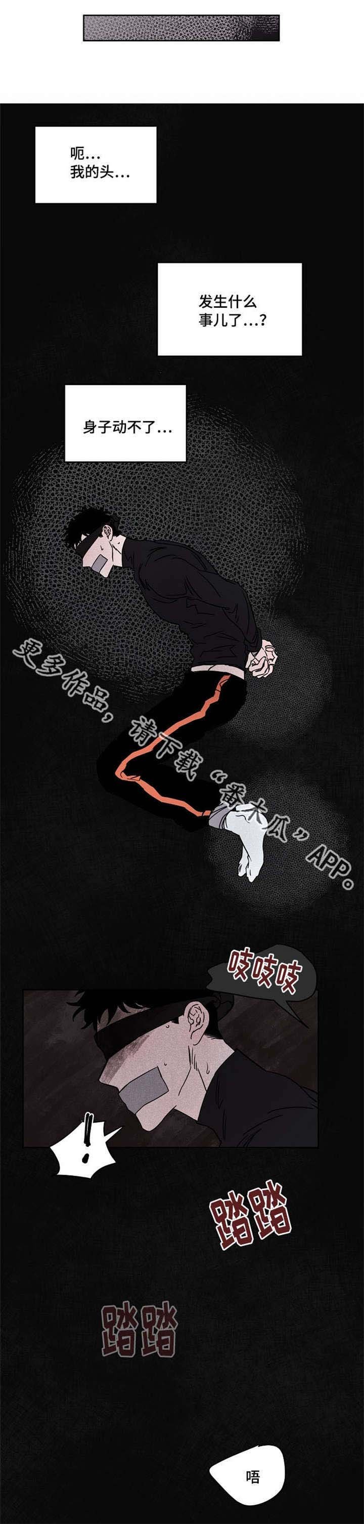 第54章：一周都在这