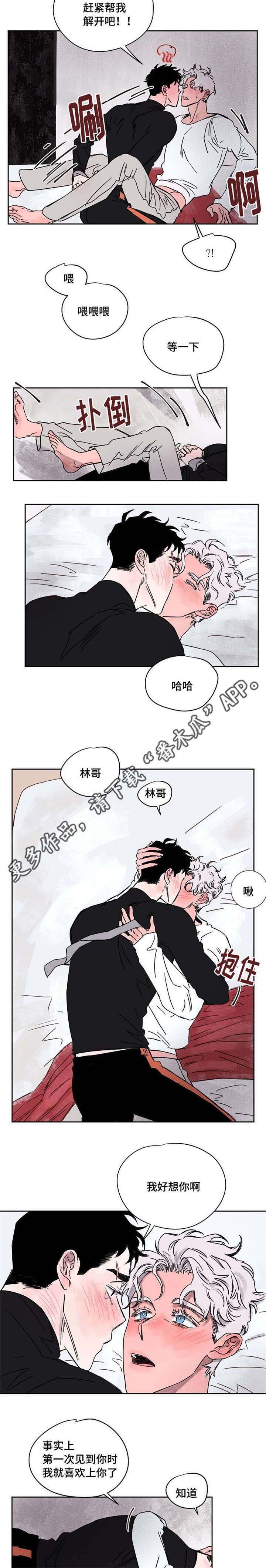 第55章：喜欢你