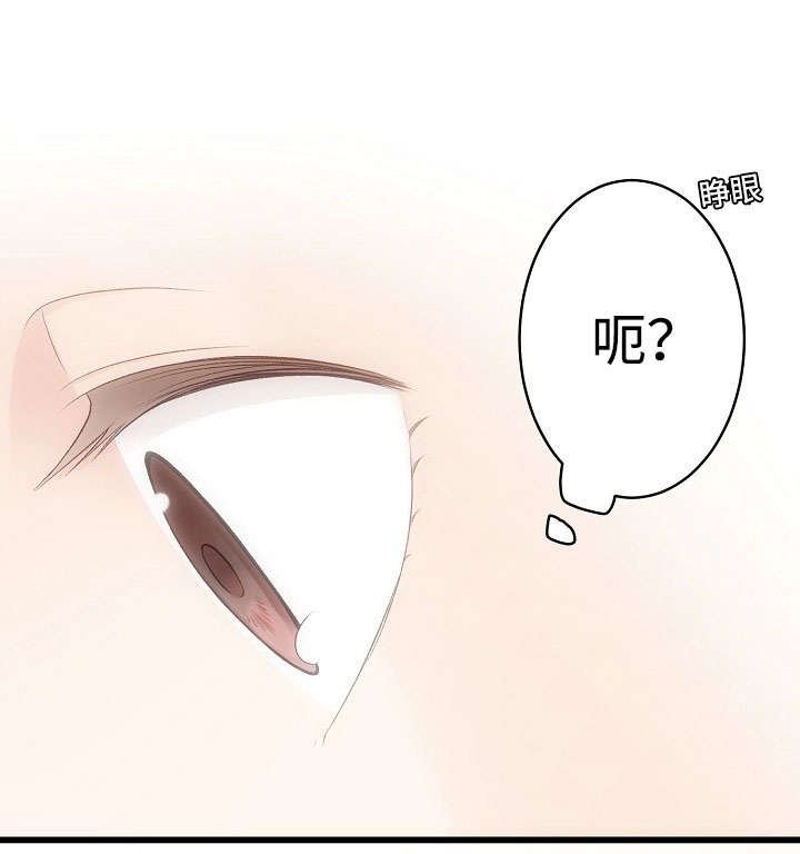 第14章：好感的种类