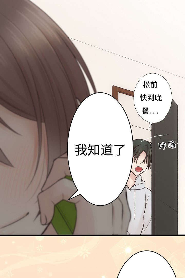 第16章：咨询