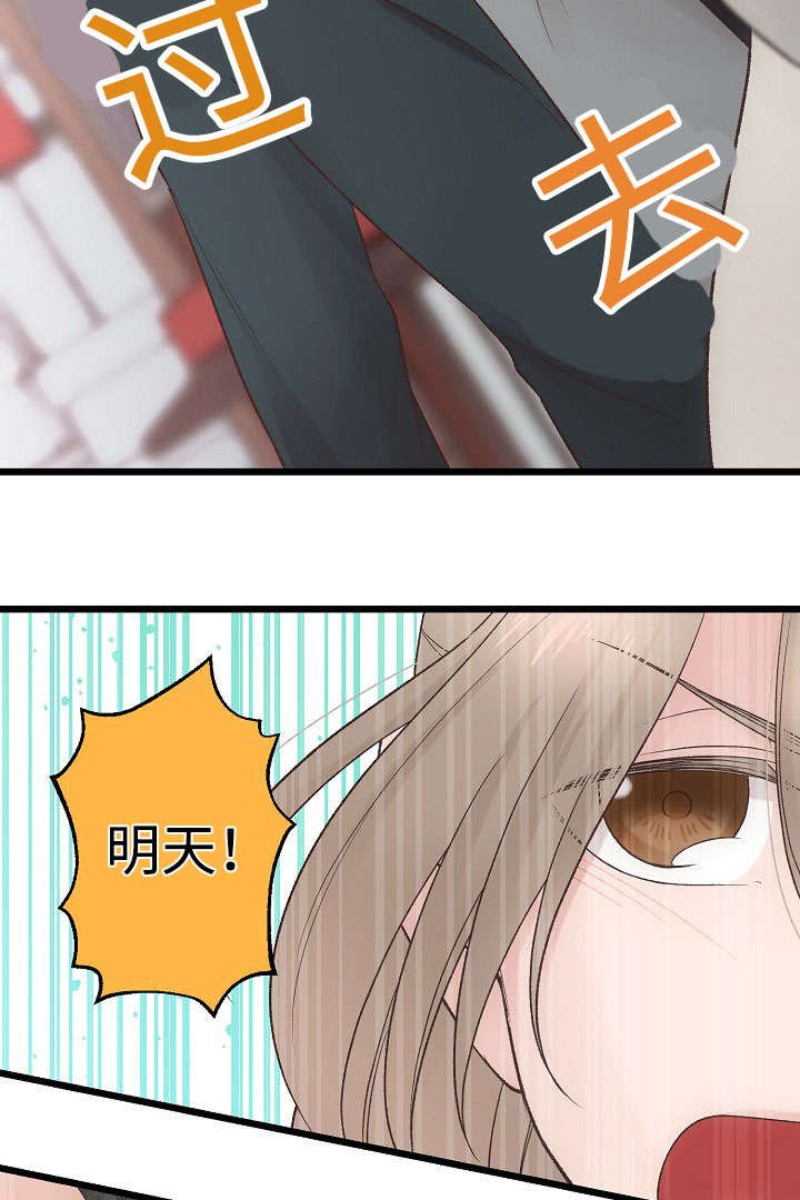 第19章：音乐会
