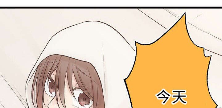 第23章：回归音乐会