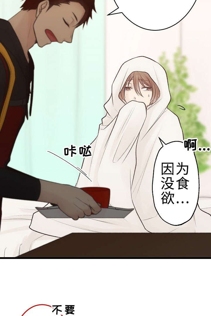第23章：回归音乐会