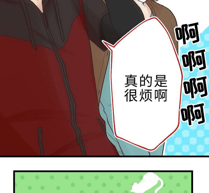 第23章：回归音乐会