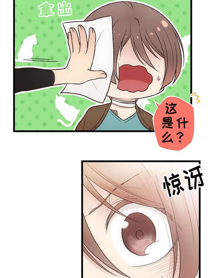 第23章：回归音乐会