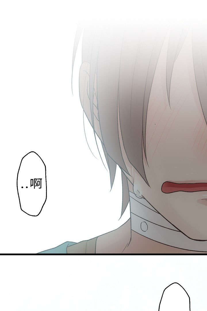 第23章：回归音乐会