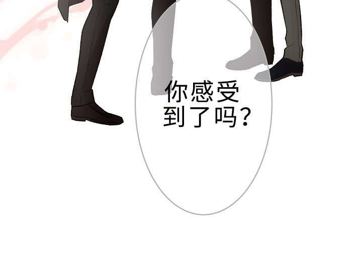 第26章：你感受到了吗