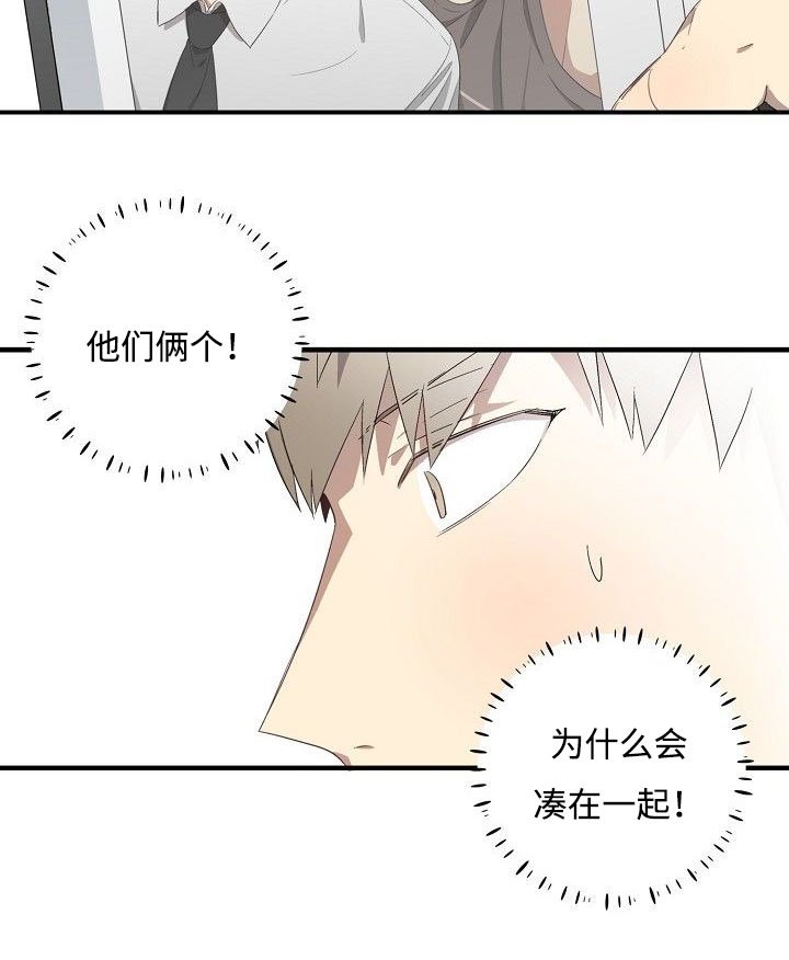 第30章：详聊