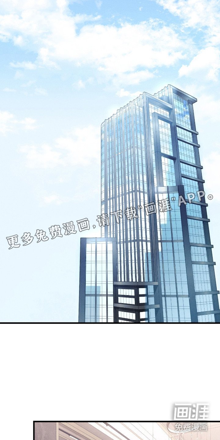 第12章：理想型