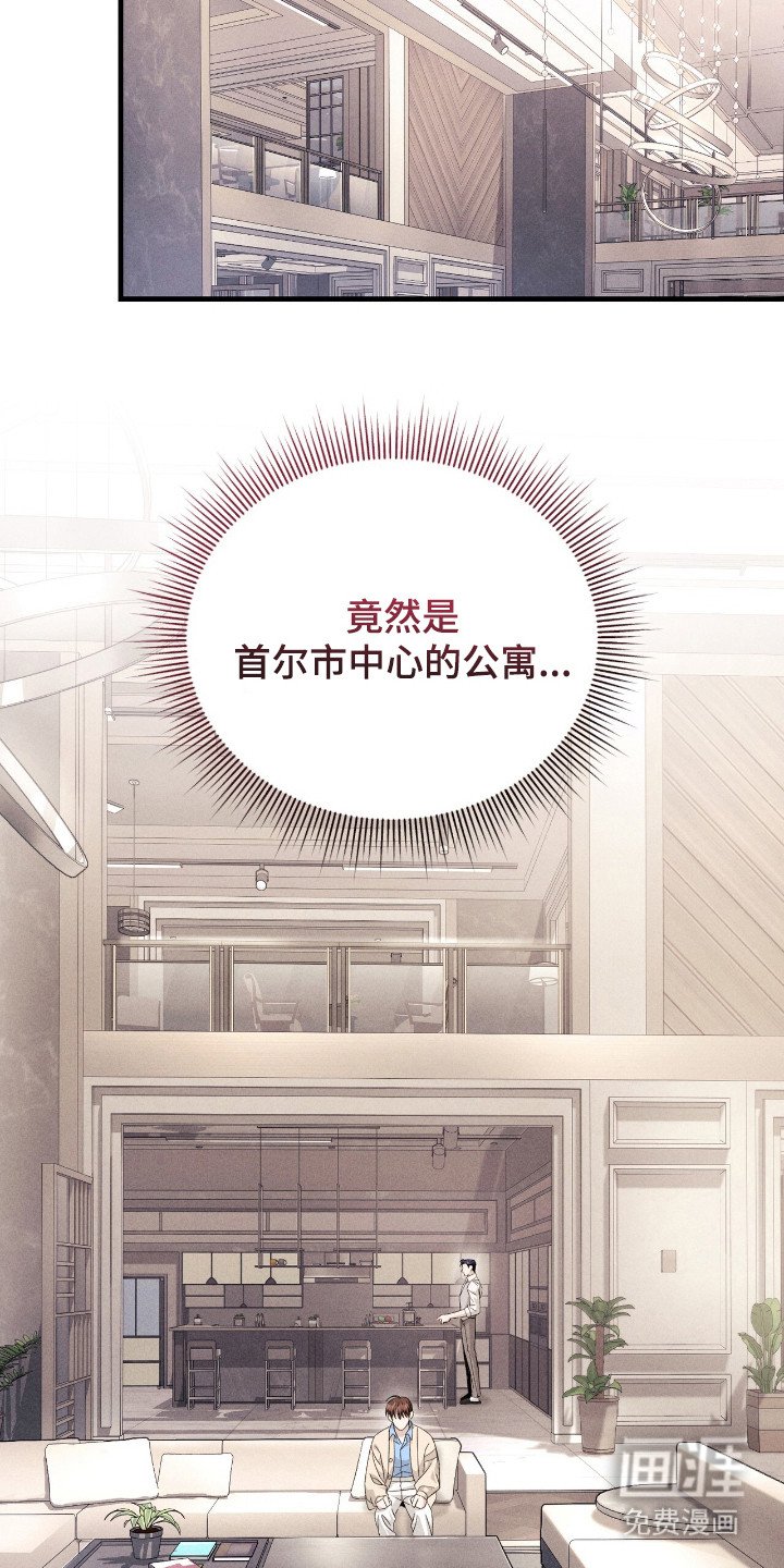 第12章：理想型