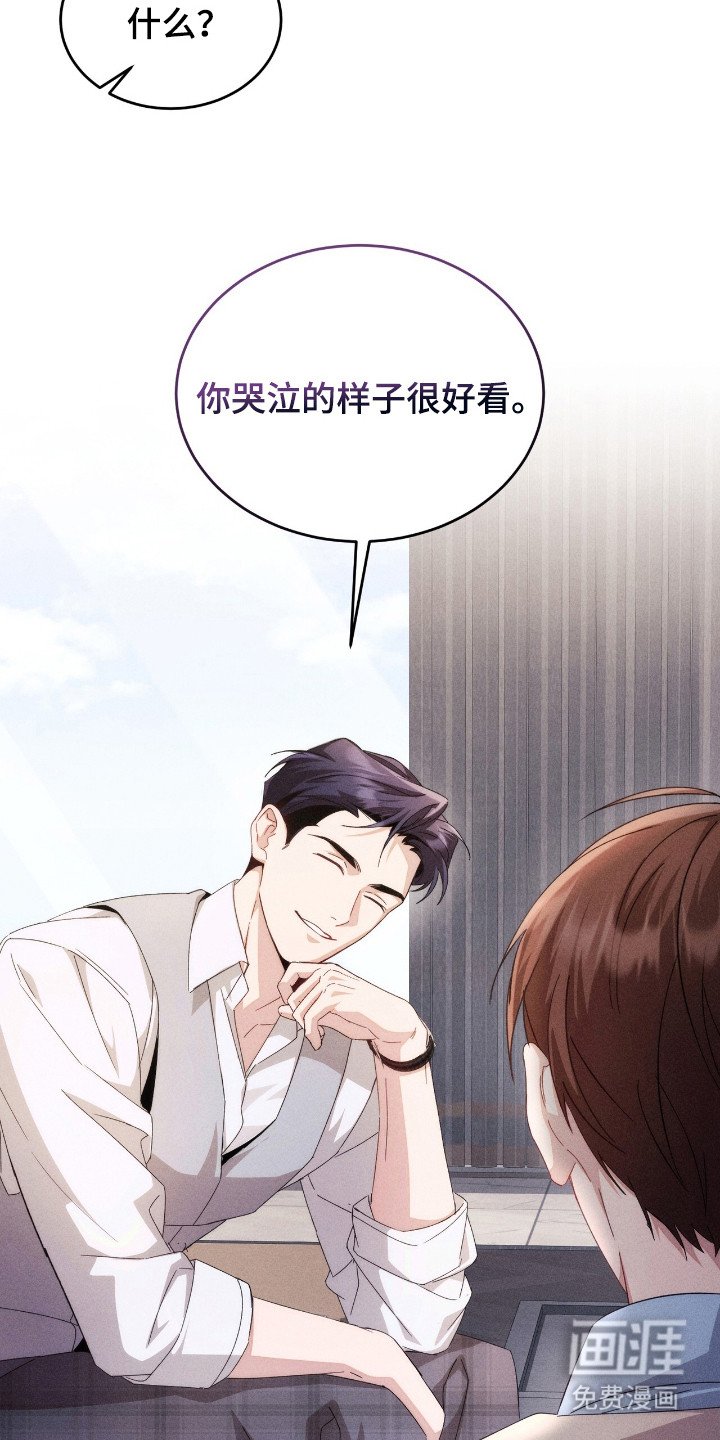第12章：理想型