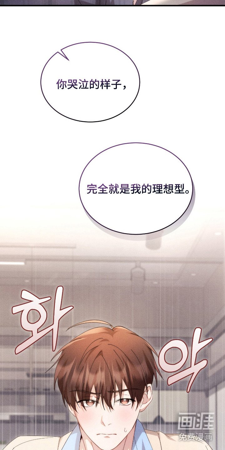 第12章：理想型