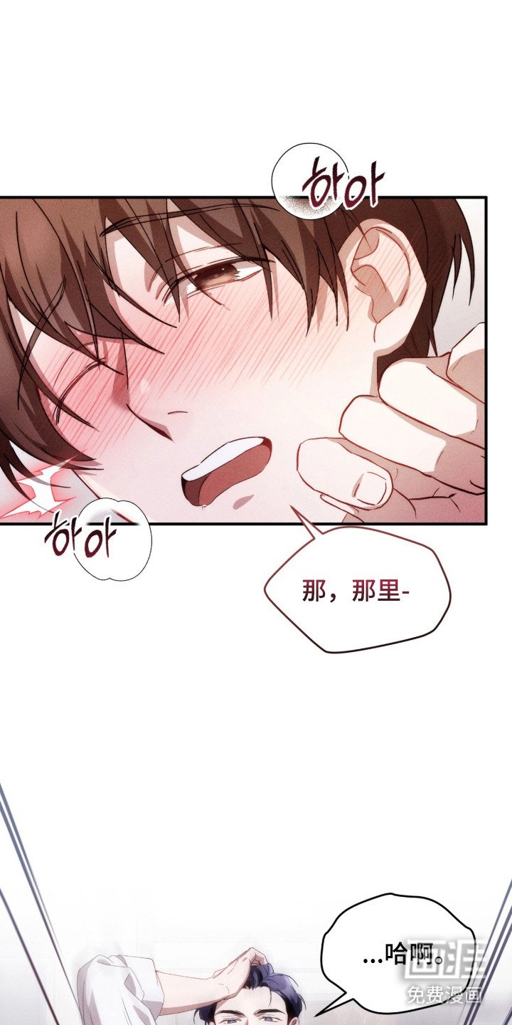 第14章：安全词