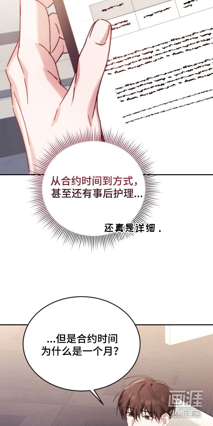 第17章：合约