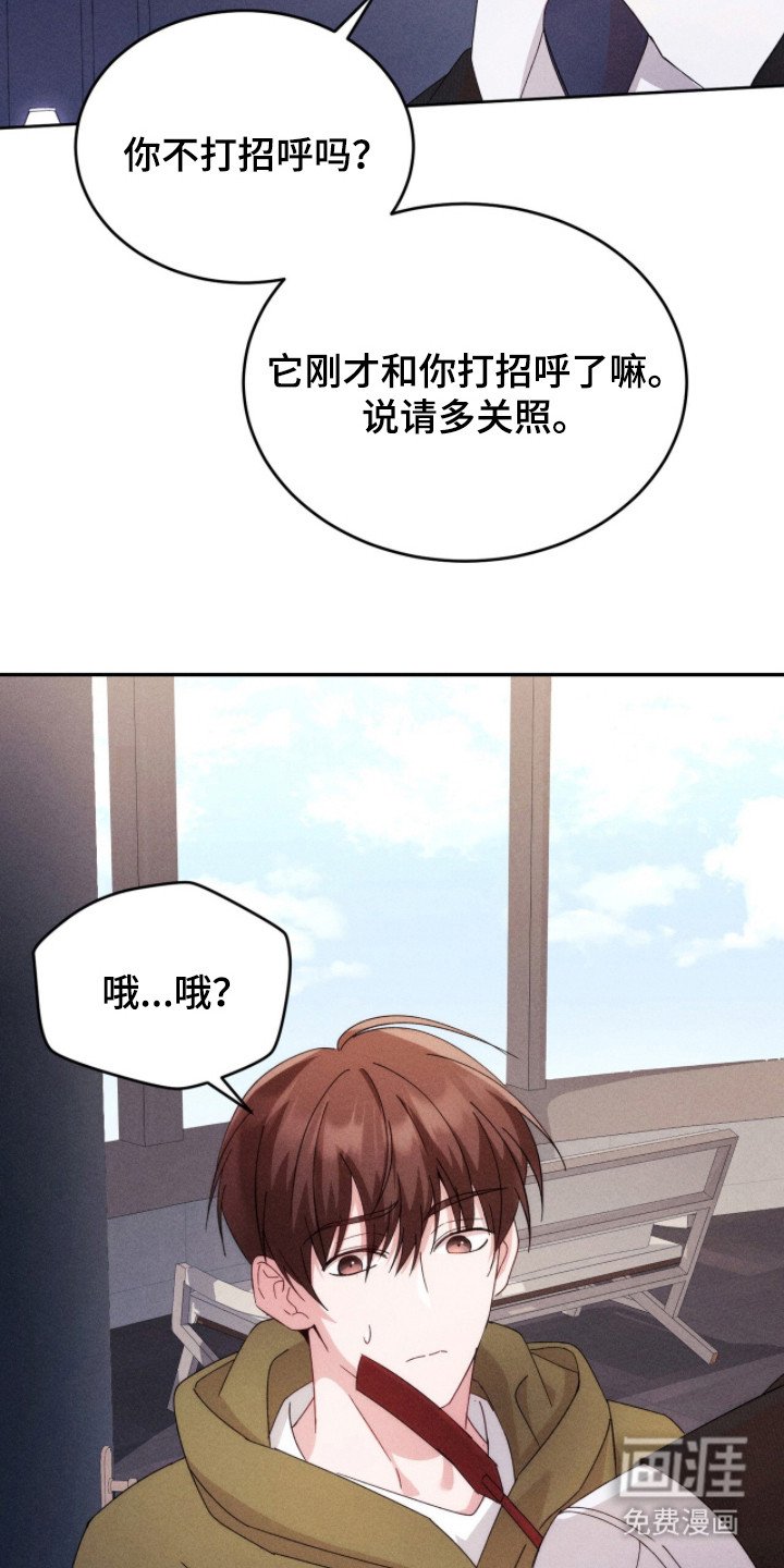 第18章：道具