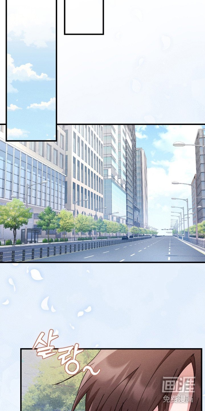 第29章：精心打扮