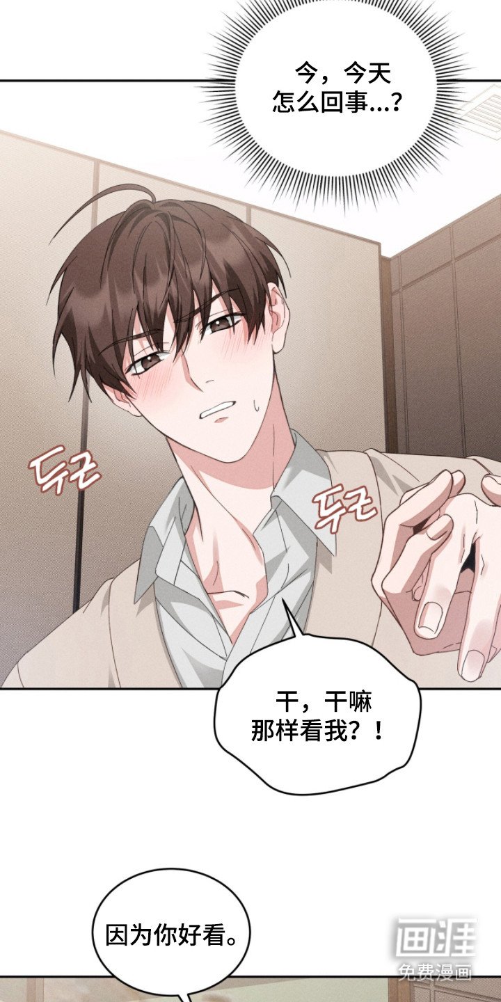 第5章：双胞胎