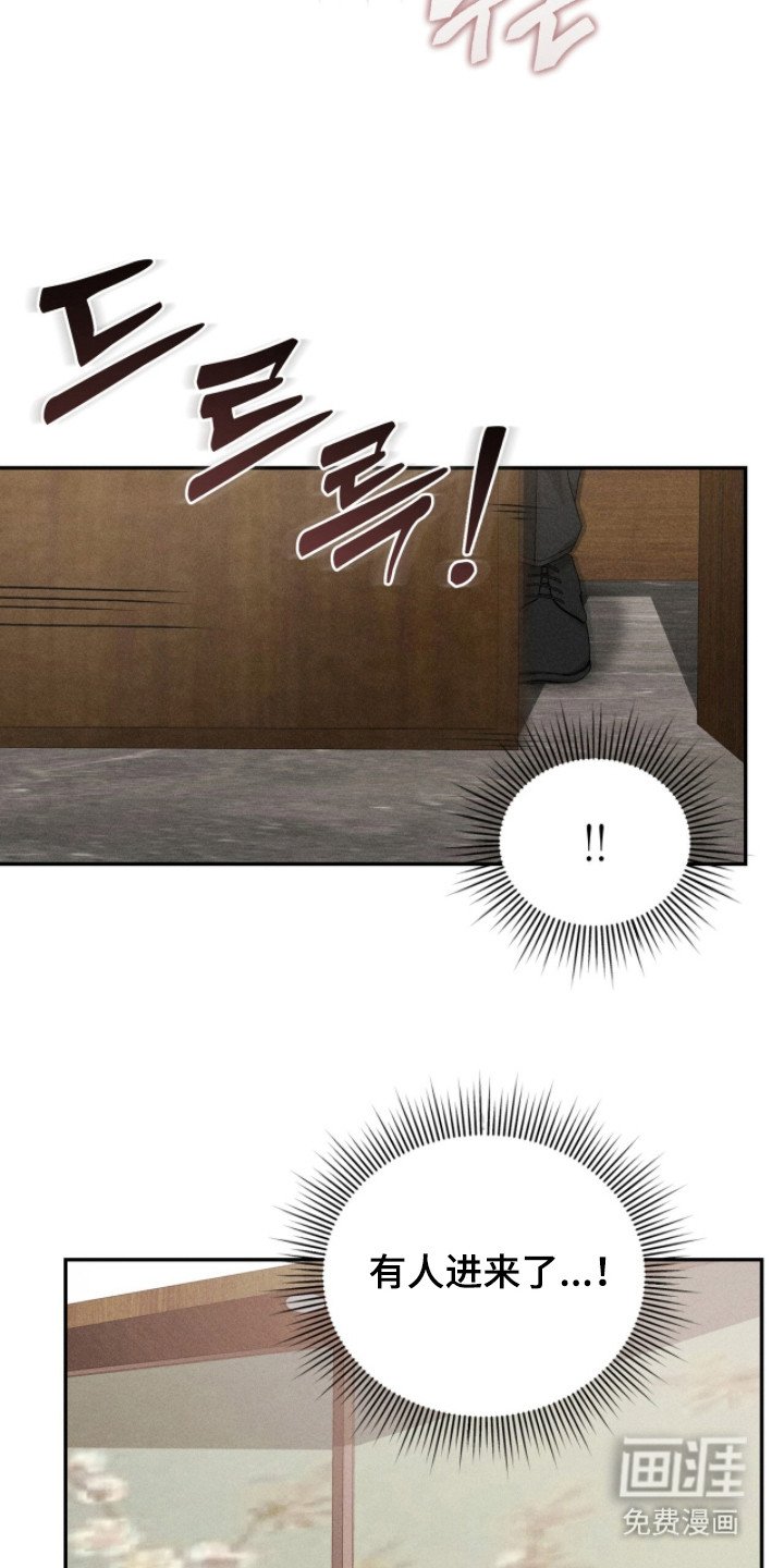 第5章：双胞胎