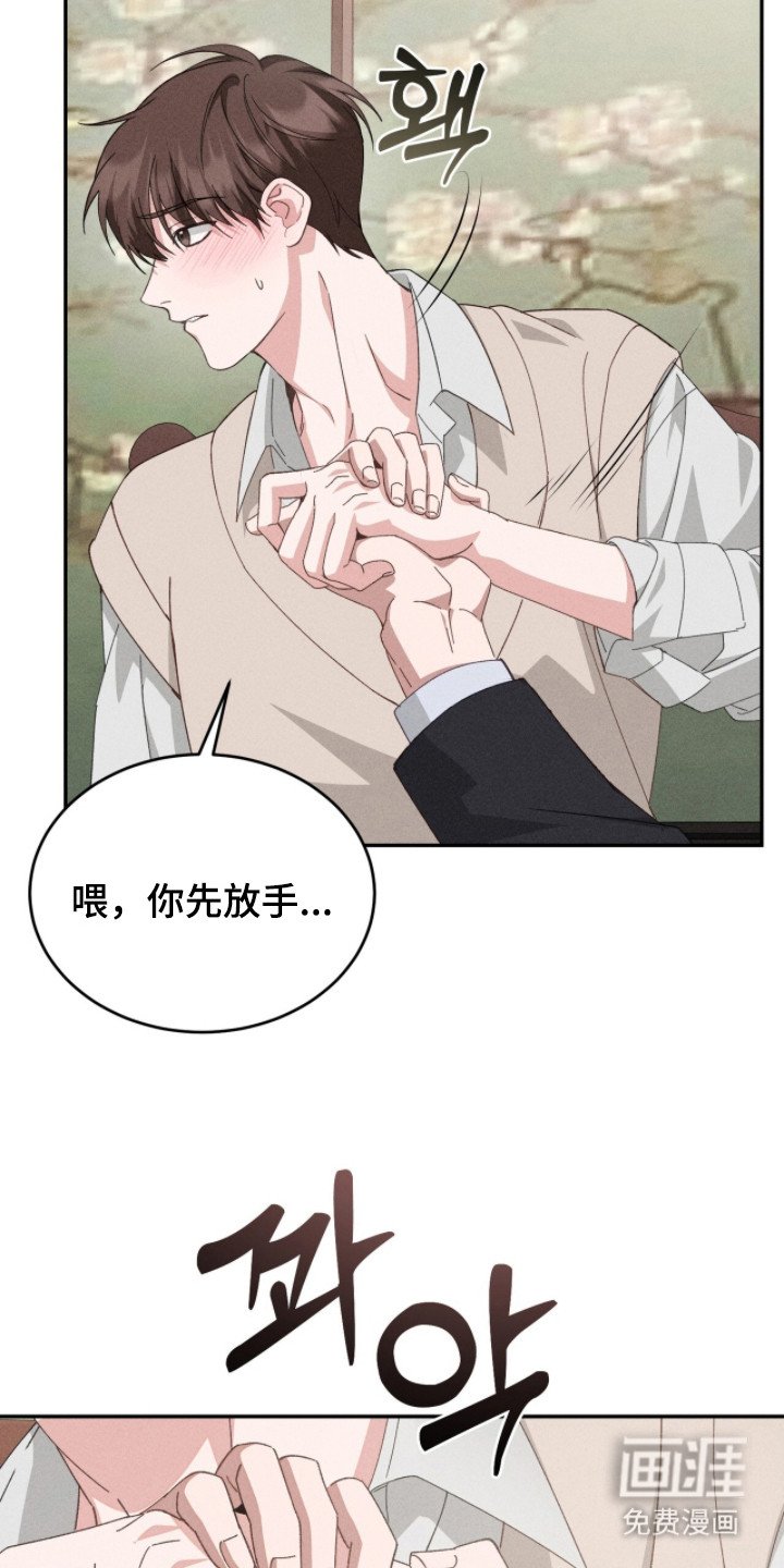 第5章：双胞胎