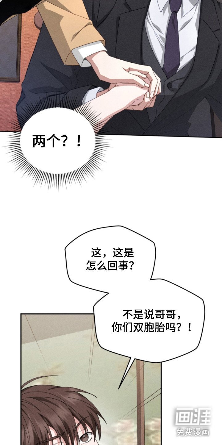 第5章：双胞胎