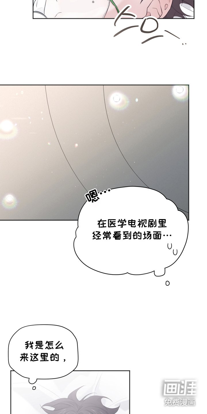 第12章：奇迹