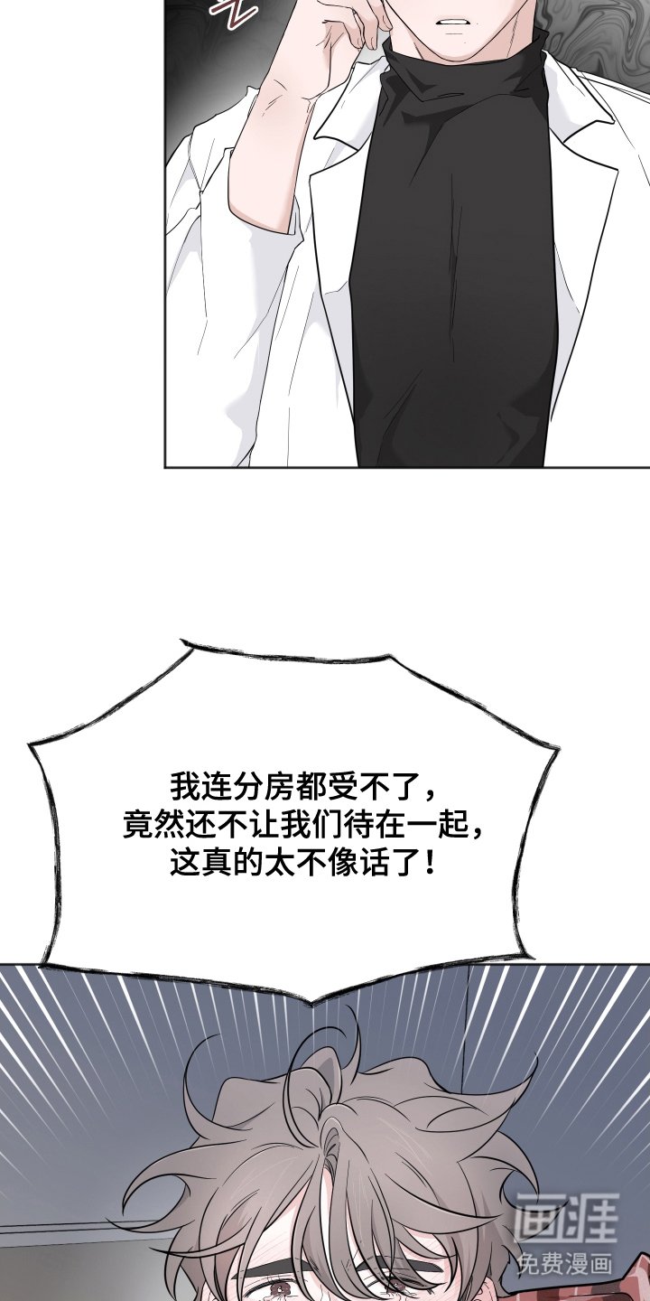 第17章：最好的选择