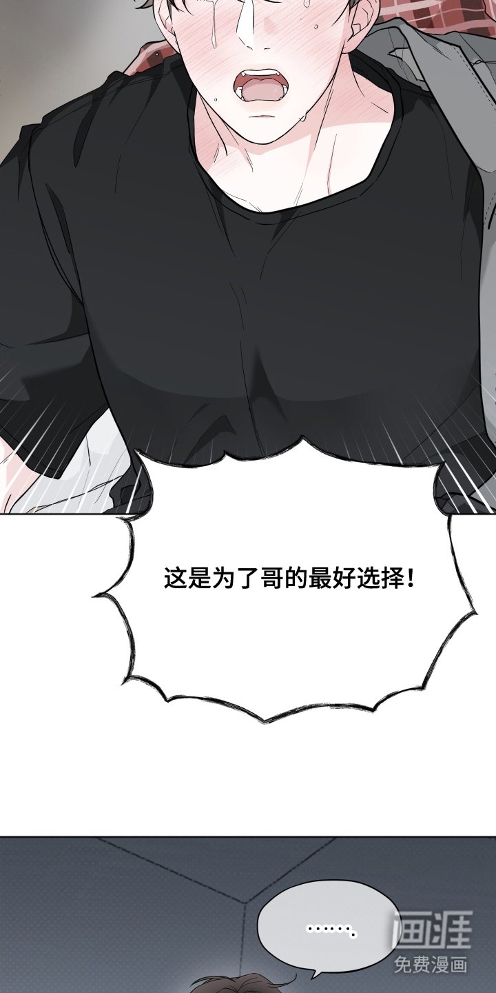 第17章：最好的选择