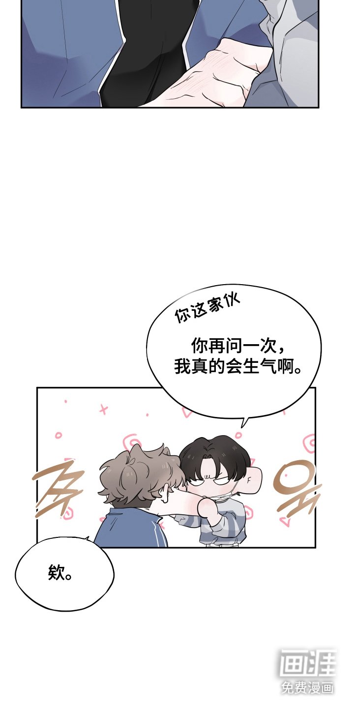 第19章：专用抑制剂