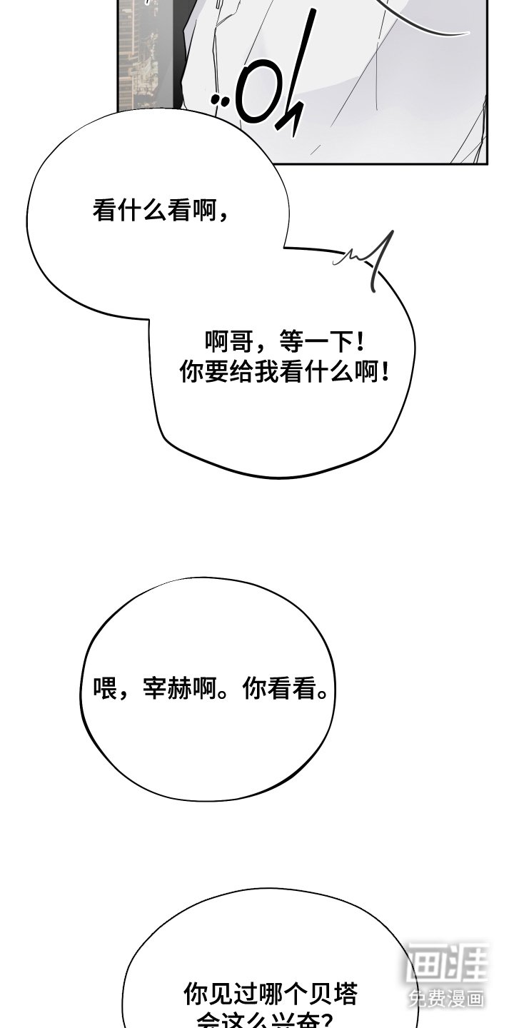 第19章：专用抑制剂