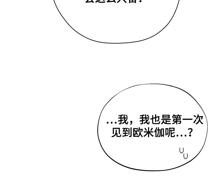 第19章：专用抑制剂