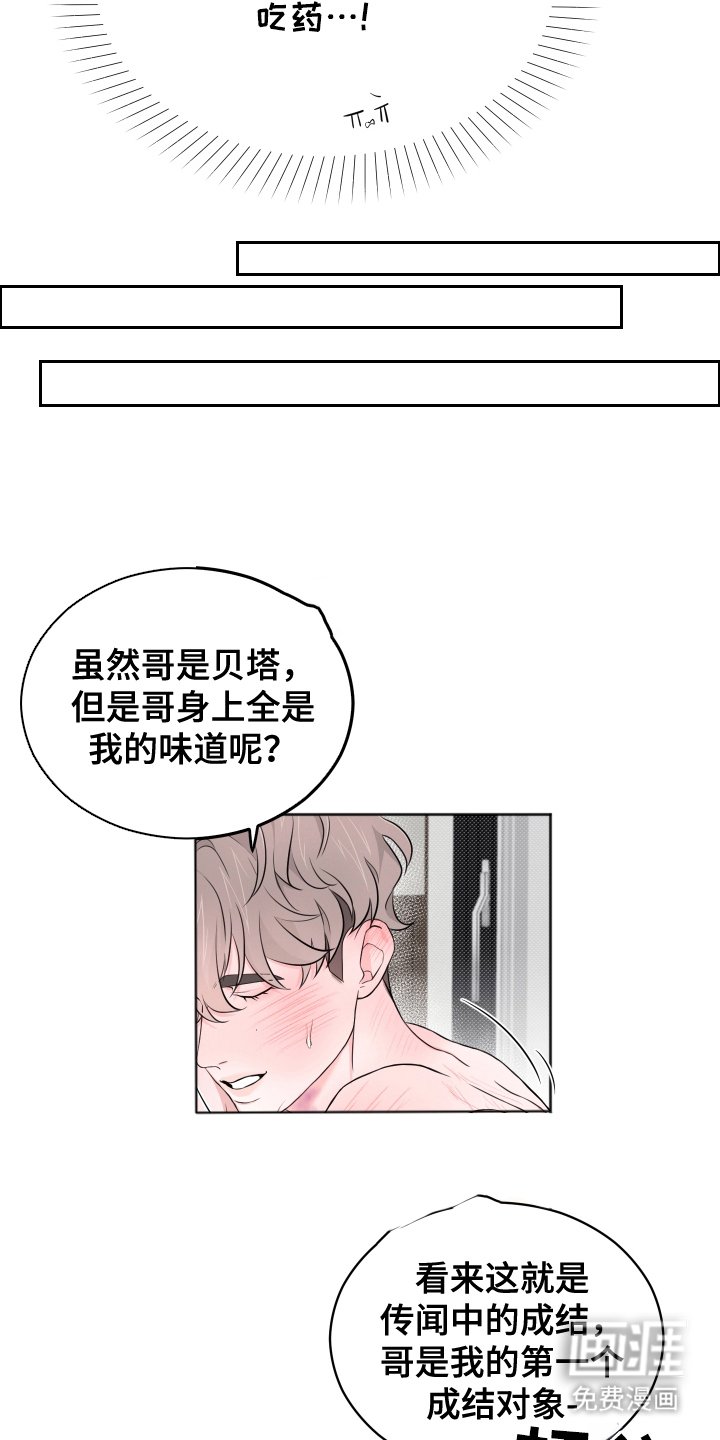 第8章：易感期