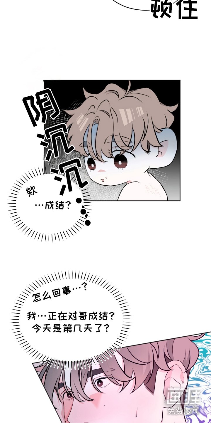 第8章：易感期