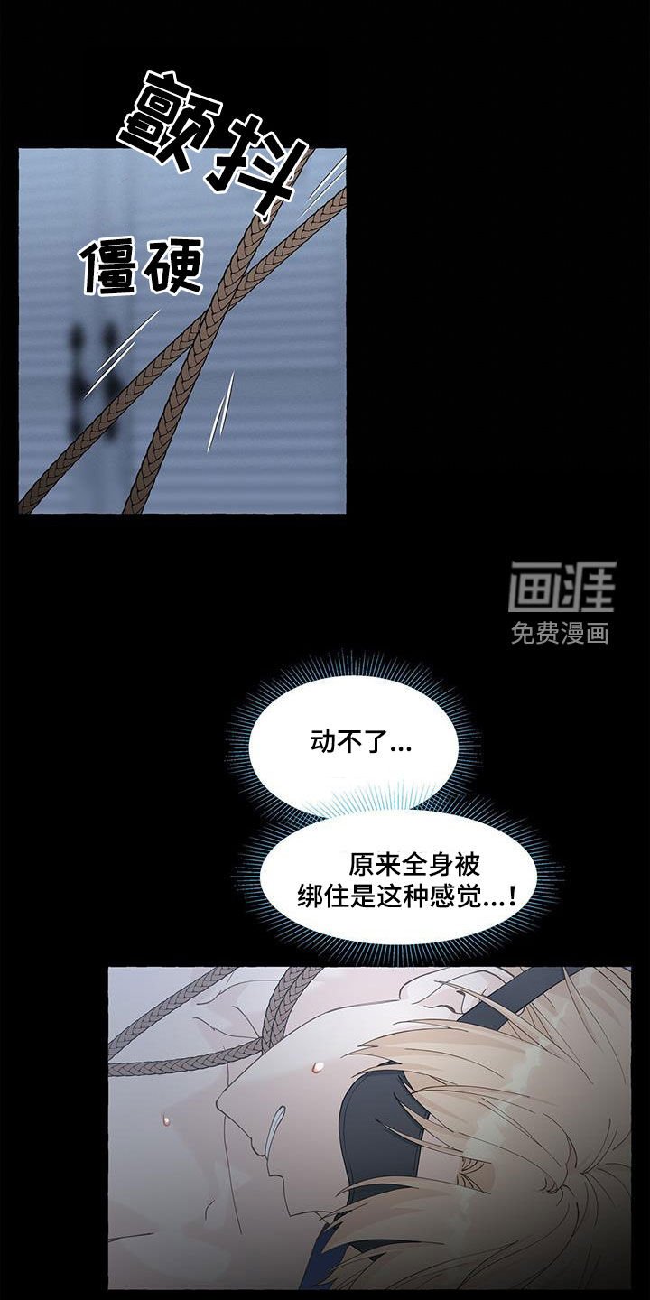 第119章：真的很卑鄙
